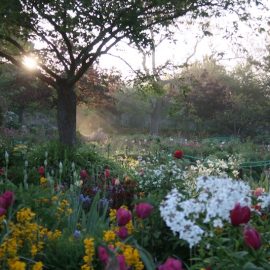 Paint with Lori McNee in Giverny at Monet’s Garden May 2019