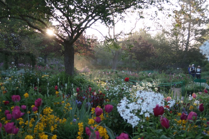 Paint with Lori McNee in Giverny at Monet’s Garden May 2019